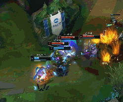 它证明国内 它证明国内